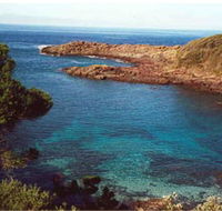 Bass Point Reserve - Hobart Tourism