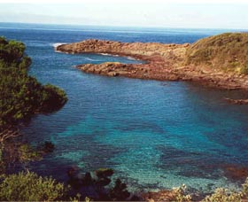 Bass Point Reserve - Hobart Tourism 0