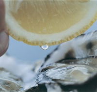 Pearly Oyster Bar and Farm - Hobart Tourism