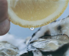 Pearly Oyster Bar And Farm - Tourism TAS 0