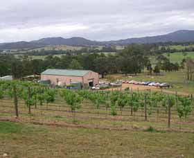 Villa D Esta Vineyard - Tourism TAS 0