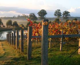 Roses Vineyard At Innes View - Tourism TAS 2
