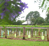 Douglas Vale Historic Homestead  Vineyard - Tourism TAS