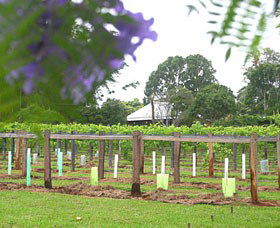 Douglas Vale Historic Homestead & Vineyard - Tourism TAS 0