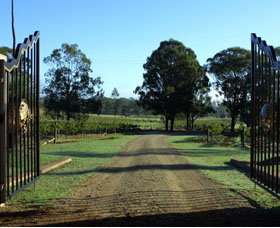 Moorebank Private Vineyard - Tourism TAS 3