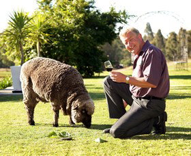 Moorebank Private Vineyard - Tourism TAS 2