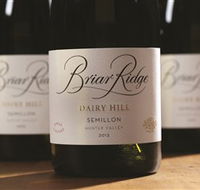 Briar Ridge Vineyard - Tourism TAS