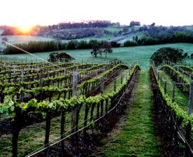 Philip Shaw Wines - Hobart Tourism 1