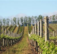 Philip Shaw Wines - Hobart Tourism