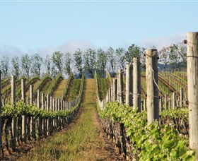 Philip Shaw Wines - Hobart Tourism 0