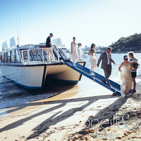 H2O Maxi Taxis - Tourism TAS 3