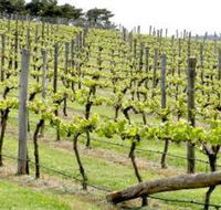 Bantry Grove - Hobart Tourism