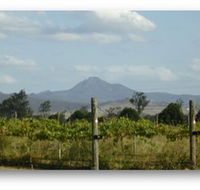 Ironbark Ridge Vineyard - Hobart Tourism