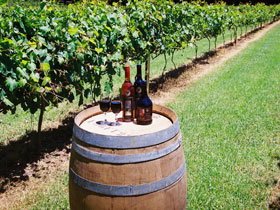 Cedar Creek Estate Vineyard And Winery - Tourism TAS 0