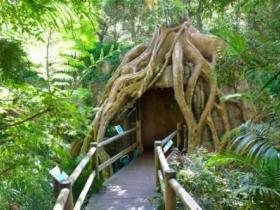 Cedar Creek Estate Vineyard And Winery - Tourism TAS 1
