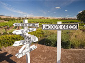 Jacob's Creek Vineyard Tour - Tourism TAS 1