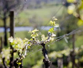 The Grampians VIC Hobart Tourism