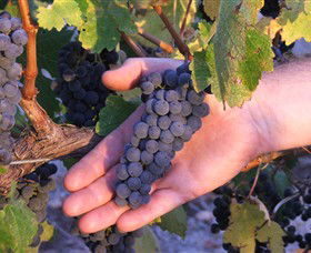 Eagles Rise Wine - Tourism TAS 0