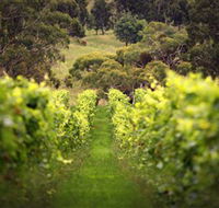 Merindoc Cafe and Cellar Door - Tourism TAS