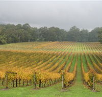 Boat O'Craigo Wines - Tourism TAS