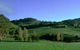 McIvor Estate - thumb 0