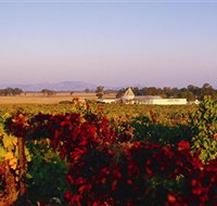 Morris Wines - Hobart Tourism