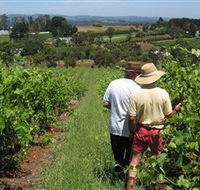 Sir Paz Estate - Hobart Tourism