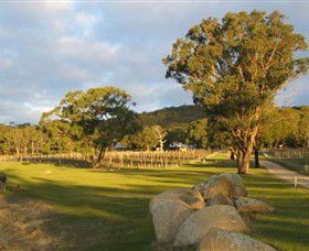Cobaw Ridge - Tourism TAS 3