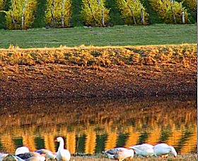 Pipers Brook TAS Tourism TAS