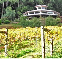 Peveril Vineyard/Beechy Berries - Tourism TAS
