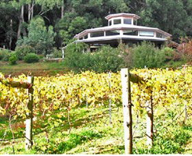 Peveril Vineyard/Beechy Berries - Tourism TAS 0