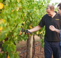 Fratin Brothers Vineyard - Hobart Tourism