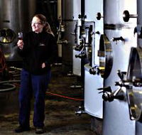 Holm Oak Vineyard - Hobart Tourism