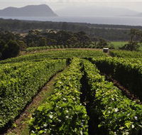 Bream Creek Vineyard - Hobart Tourism