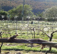 Three Willows Vineyard - Hobart Tourism