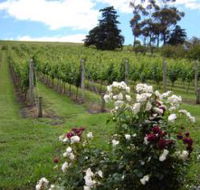 Pembroke Estate Vineyard - Hobart Tourism