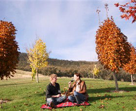 Gapsted Wines - Tourism TAS 5
