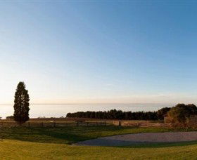 Jack Rabbit Vineyard - Tourism TAS 3