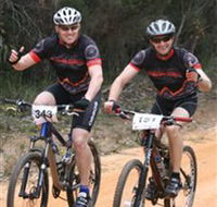 Trailhead Bike Co. - Hobart Tourism