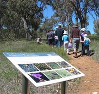 South Gundagai Woodlands Walk - Tourism TAS