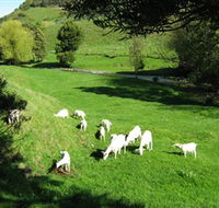 Karmic Goat Soapworks - Hobart Tourism