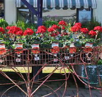 Van Loon's Nursery - Hobart Tourism