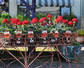 Van Loon's Nursery - Hobart Tourism 0