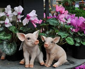 Van Loon's Nursery - Hobart Tourism 2