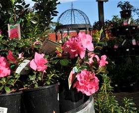 Van Loon's Nursery - Hobart Tourism 1