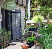 The Lighthouse Olive Mill Shop - Hobart Tourism