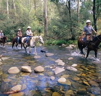Howqua Hills Historic Area - Tourism TAS