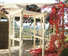 Blue Hills Berries & Cherries - Hobart Tourism 1