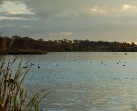 Lake Inverell Reserve - Tourism TAS 0