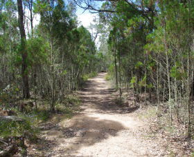 Goonoowigall State Conservation Area - Tourism TAS 1